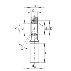 桿端軸承 GAL40-DO-2RS, 根據(jù) DIN ISO 12 240-4 標(biāo)準(zhǔn)，帶左旋外螺紋，需維護(hù)，兩側(cè)唇密封