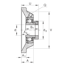 軸承座單元 PCJ20-N-FA125, 帶四個螺栓孔的法蘭的軸承座單元，鑄鐵，偏心鎖圈，P型密封，耐腐蝕保護