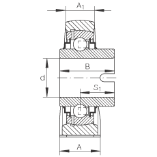 直立式軸承座單元 RASEL40-N, 鑄鐵軸承座，浮動軸承，內(nèi)圈有驅(qū)動槽，R 型密封